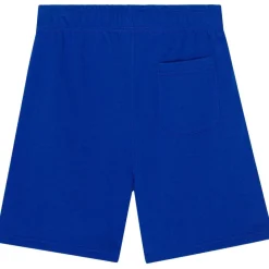 Adian Shorts Reef Blue>Molo Clearance
