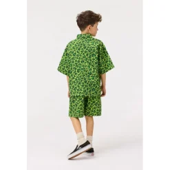 Avart Shorts Jaguar Green>Molo Online