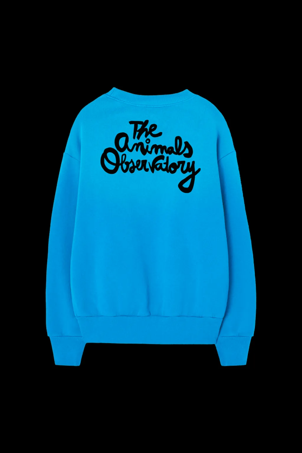 Bear Sweatshirt Blue>The Animals Observatory Outlet