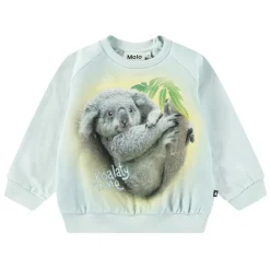 Disc Koalaty Time>Molo