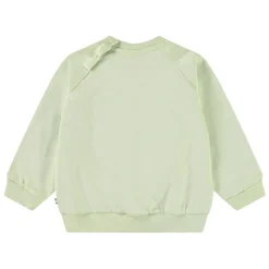 Disc Misty Green>Molo Clearance