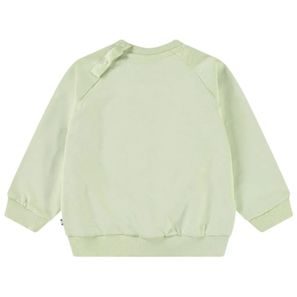 Disc Misty Green>Molo Clearance