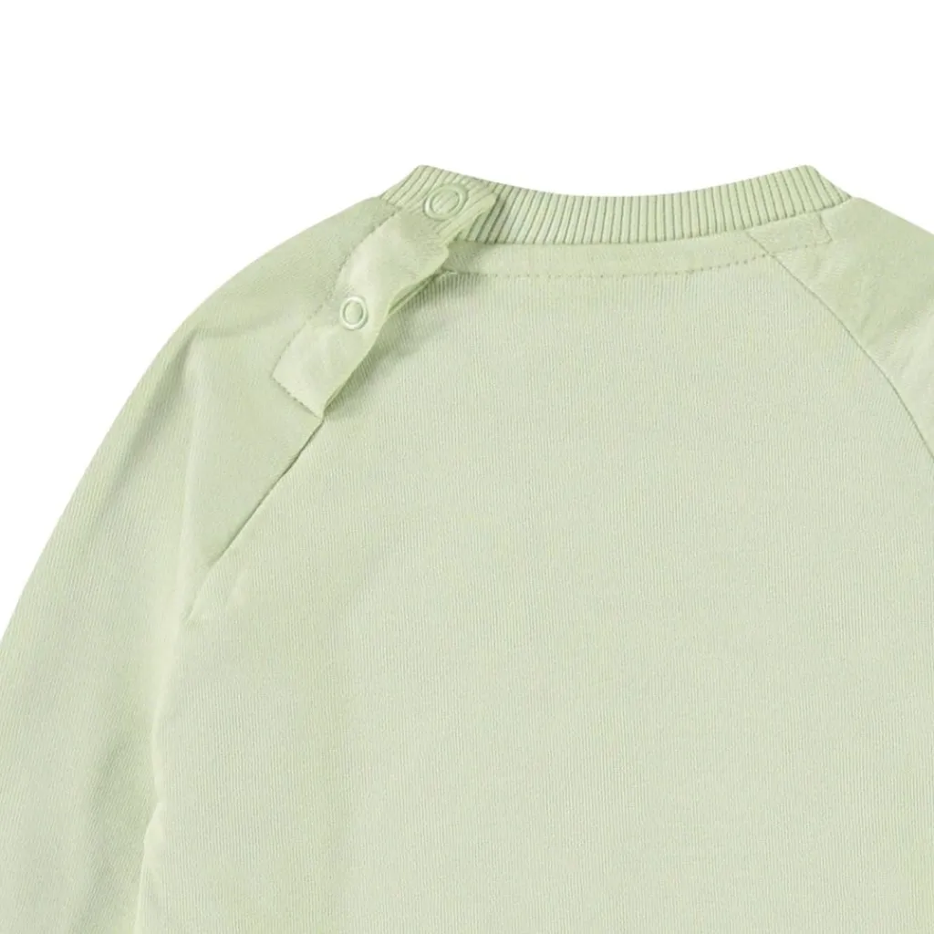 Disc Misty Green>Molo Clearance
