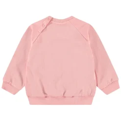 Disc Rosequartz>Molo Clearance