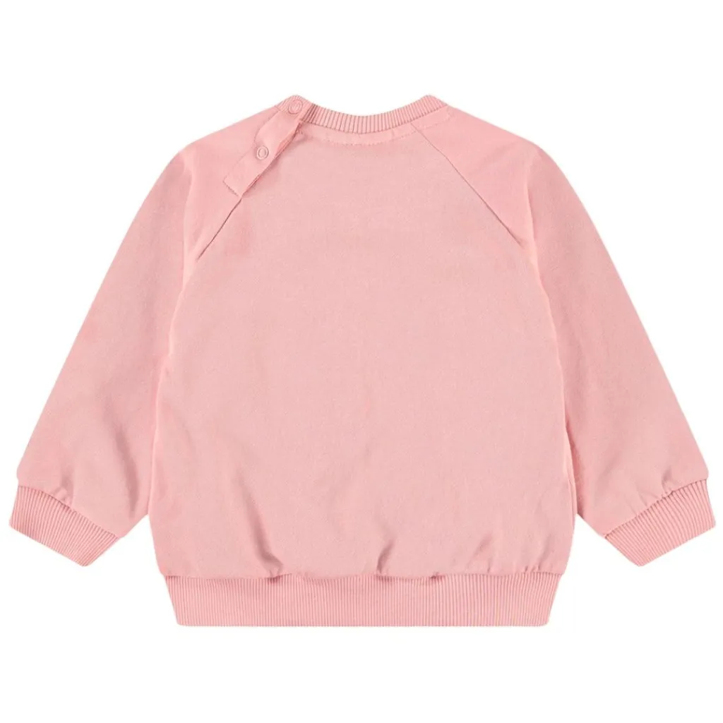 Disc Rosequartz>Molo Clearance