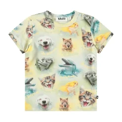 Easy Smilng Cubs>Molo Clearance
