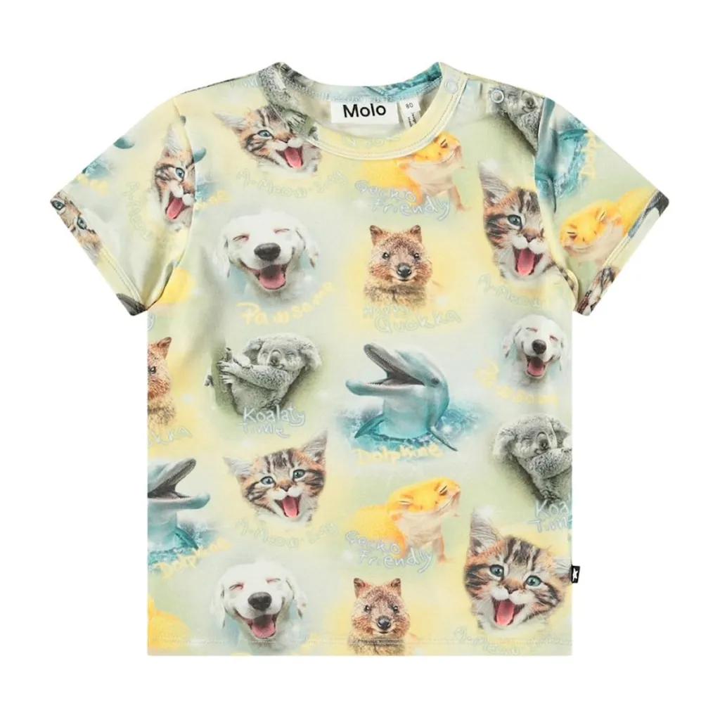 Easy Smilng Cubs>Molo Clearance
