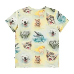 Easy Smilng Cubs>Molo Clearance