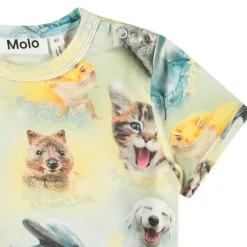 Easy Smilng Cubs><noscript><img width=