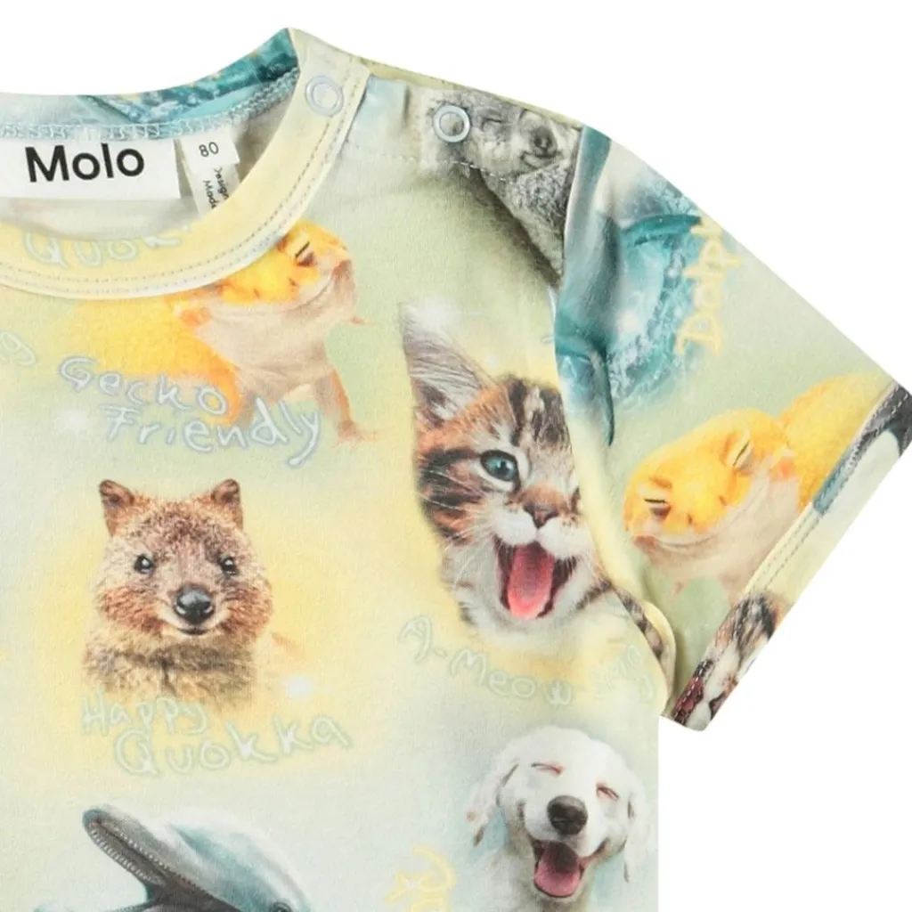 Easy Smilng Cubs>Molo Clearance