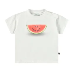 Enzo Melon Smile>Molo New