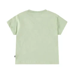Enzo Misty Green>Molo