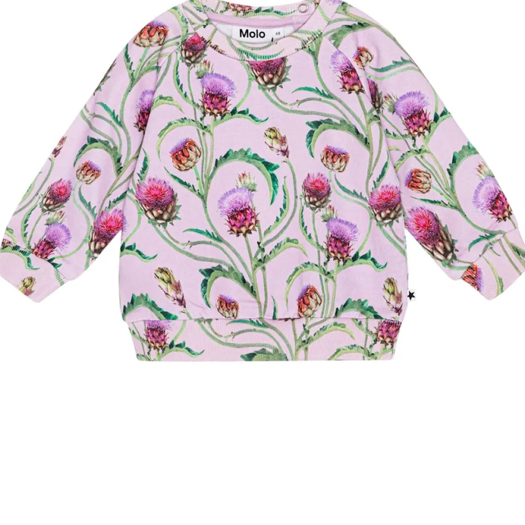 GOTS Disc Tröja Artichoke Mini>Molo New