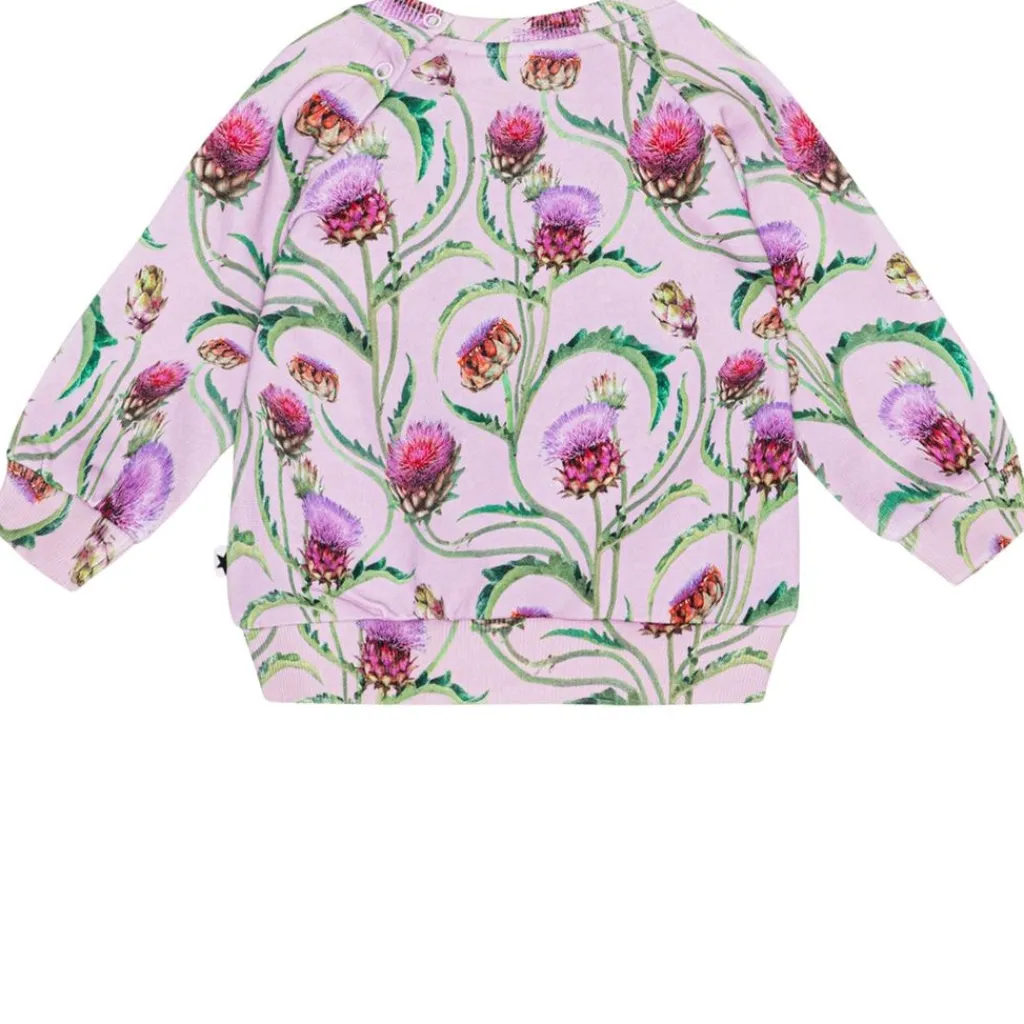 GOTS Disc Tröja Artichoke Mini>Molo New