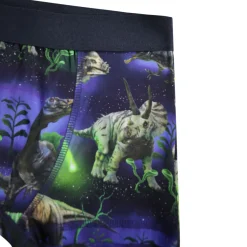 GOTS Justin 2-pack Boxershorts Dino Galaxy><noscript><img width=