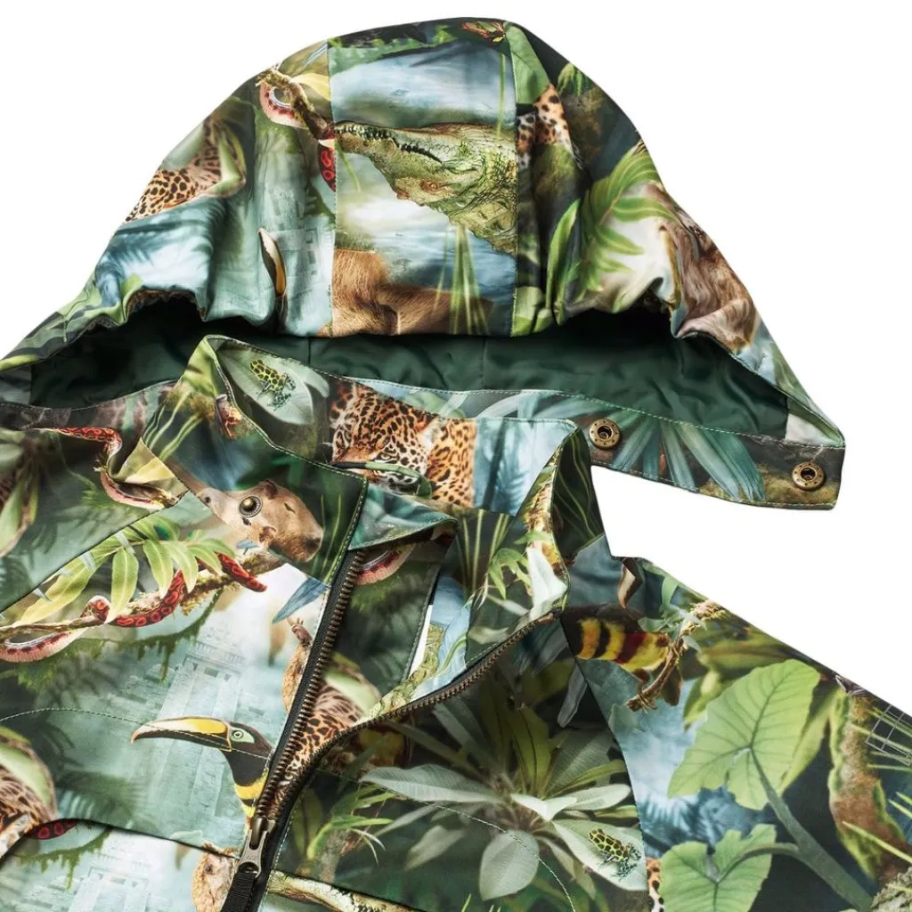 Hoplas Jacket Jungle Life>Molo Discount