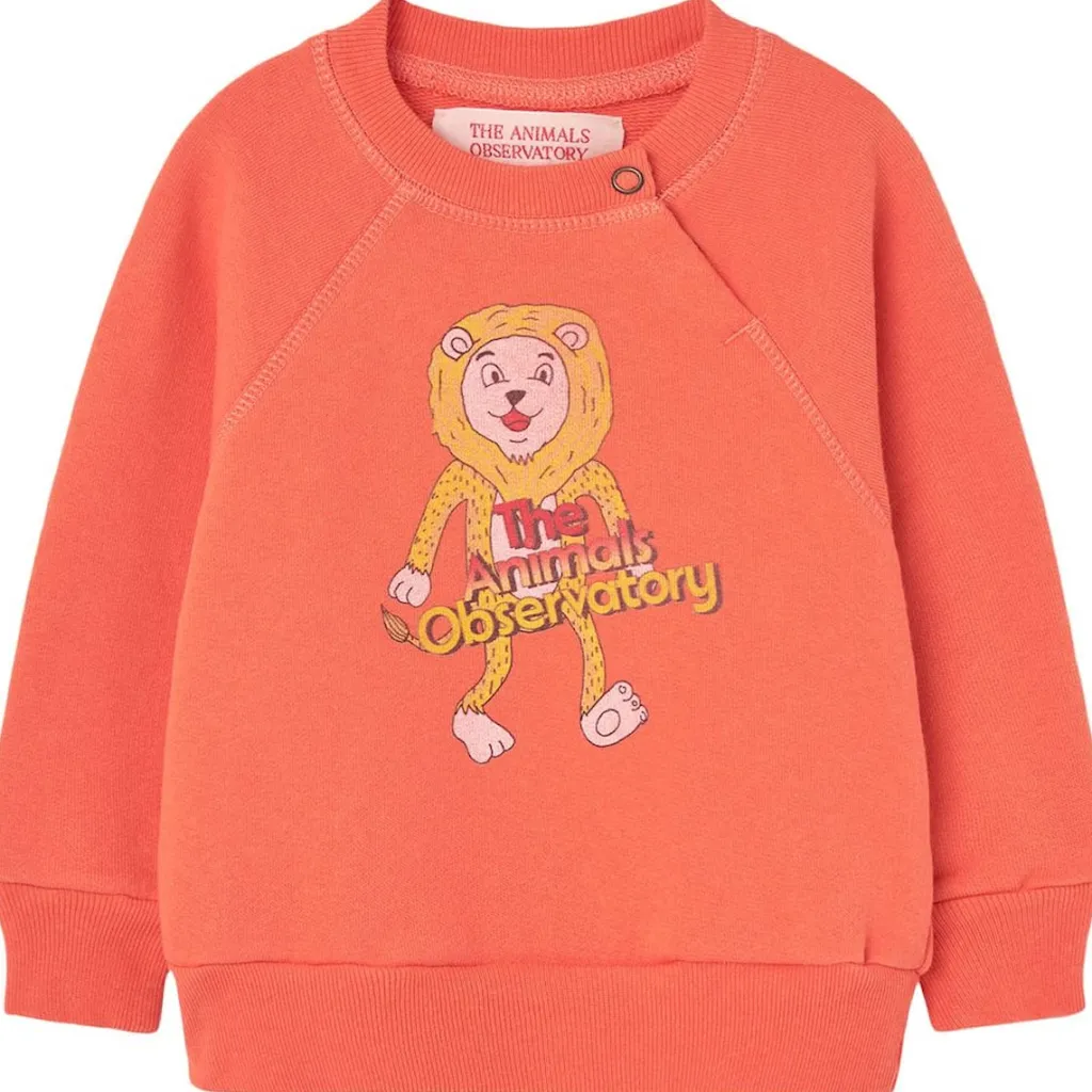 Jackal Baby Sweatshirt Salmon>The Animals Observatory