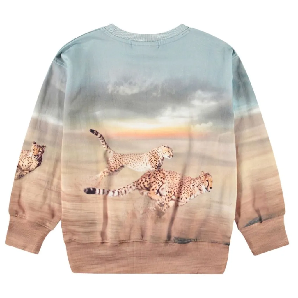 Mattis Sweatshirt Running Cheetahs>Molo Hot