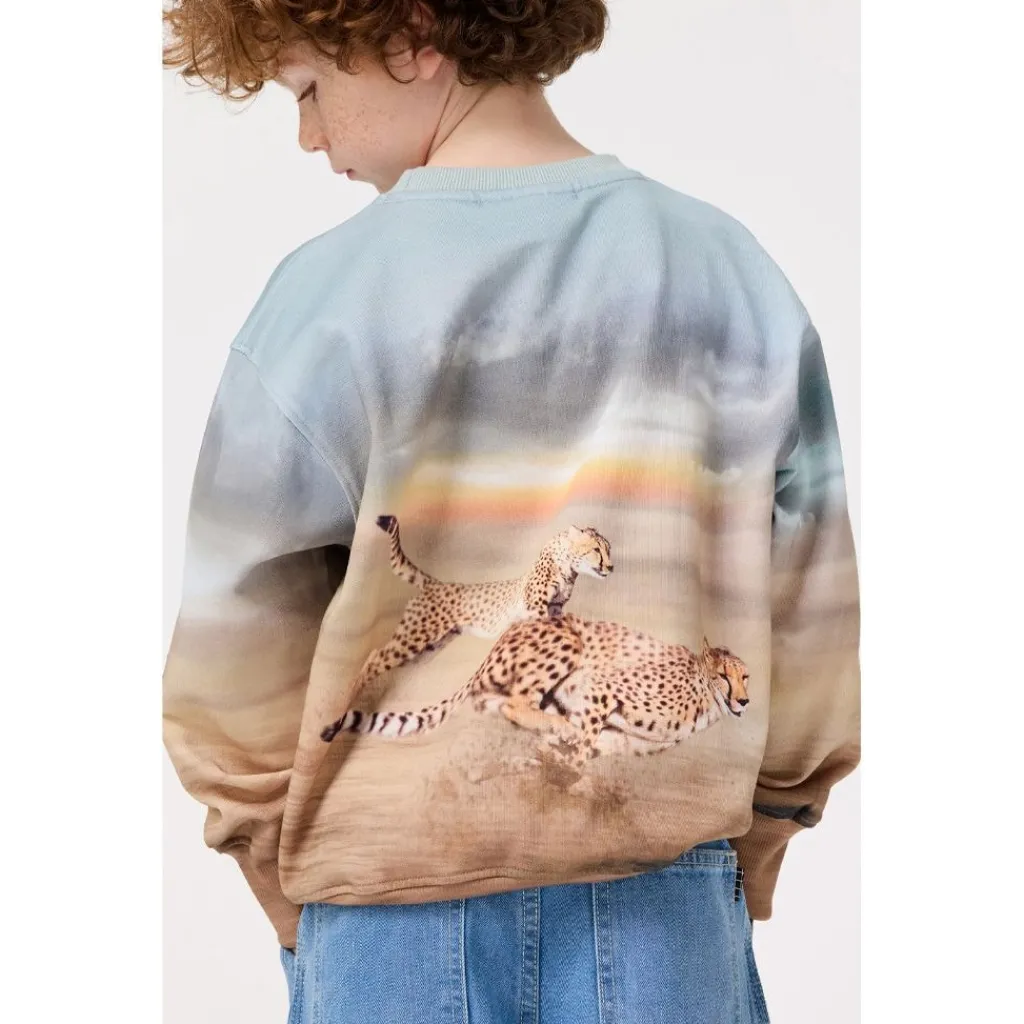 Mattis Sweatshirt Running Cheetahs>Molo Hot