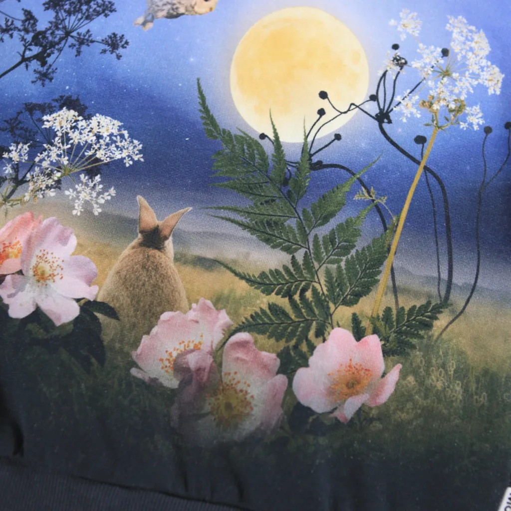 Maxi Sweatshirt Magic Moonrise>Molo Hot