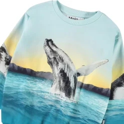 Monti Sweatshirt Whale Jump><noscript><img width=