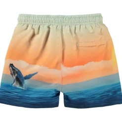 Niko Badbyxor Ocean Smile>Molo
