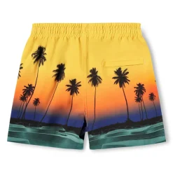 Niko Badshorts Sunset Skate>Molo