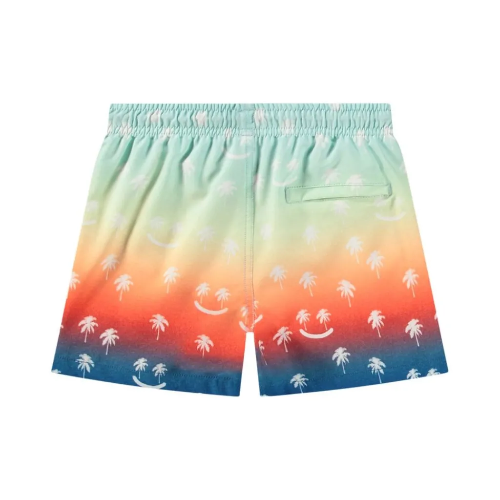 Niko Board Shorts Palmtree Smile>Molo Outlet