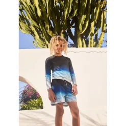 Niko Boardshorts Faded Ocean>Molo Discount