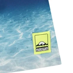 Niko Boardshorts Faded Ocean><noscript><img width=