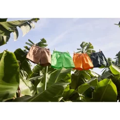 Niko Solid Board Shorts Wood Green>Molo