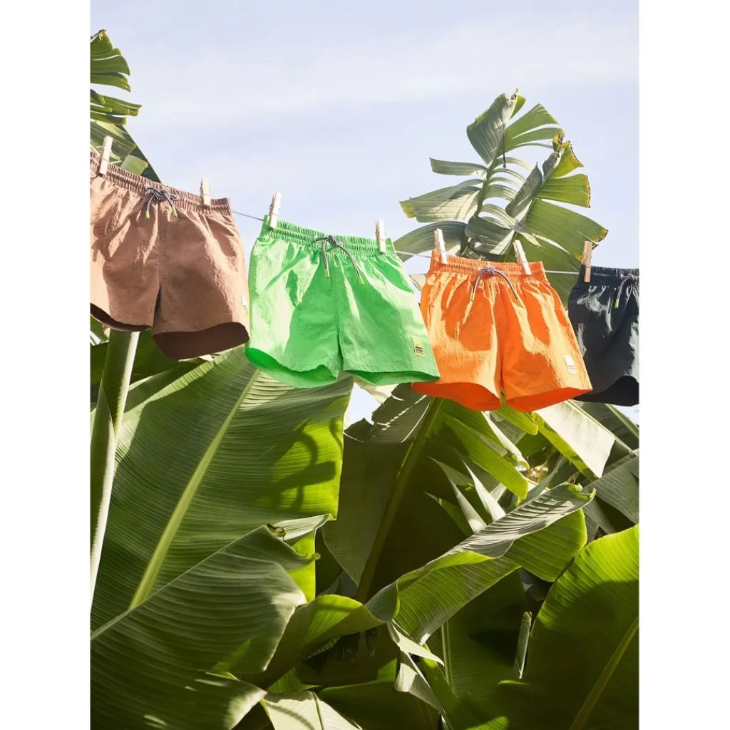 Niko Solid Board Shorts Wood Green>Molo