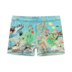 Norton placerade stammar Happy Ocean>Molo New