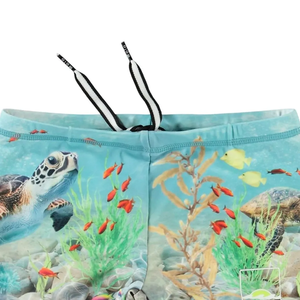Norton placerade stammar Happy Ocean>Molo New