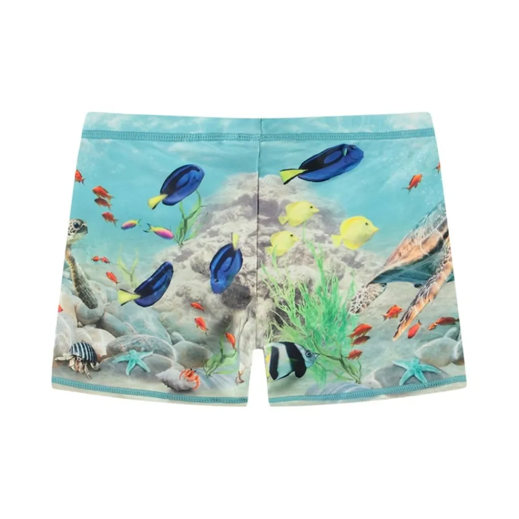 Norton placerade stammar Happy Ocean>Molo New
