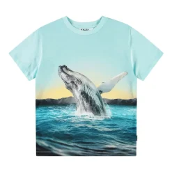 Rame Short Sleeve T-Shirt Whale Jump>Molo