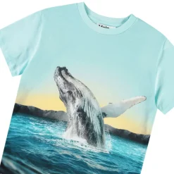 Rame Short Sleeve T-Shirt Whale Jump><noscript><img width=