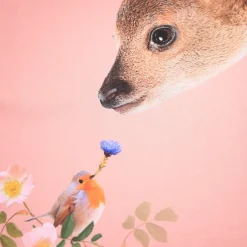 Reniza Långärmad Topp Flower Gift><noscript><img width=
