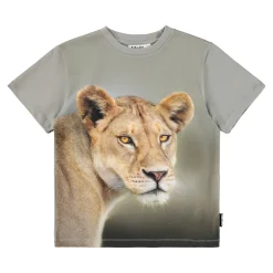 Riley T-Shirt Leo>Molo