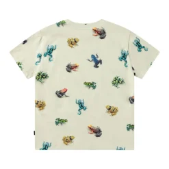 Roxo Short Sleeve T-Shirt Vibrant Frogs><noscript><img width=