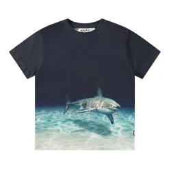 Roxo T-shirt Faded Shark>Molo Online