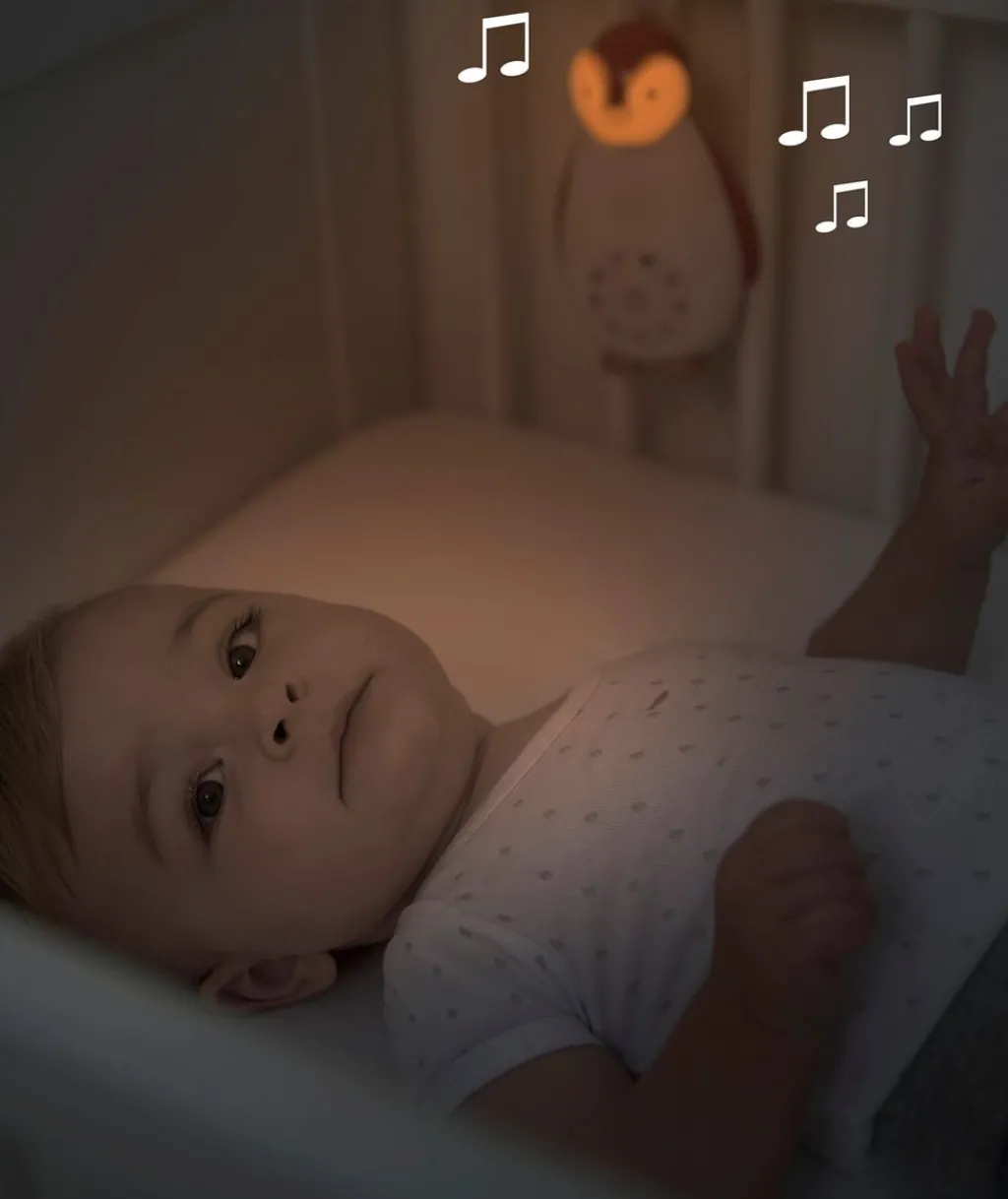 Zoe Music Box Grå>Zazu