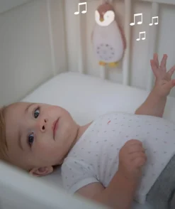Zoe Music Box Rosa>Zazu Clearance